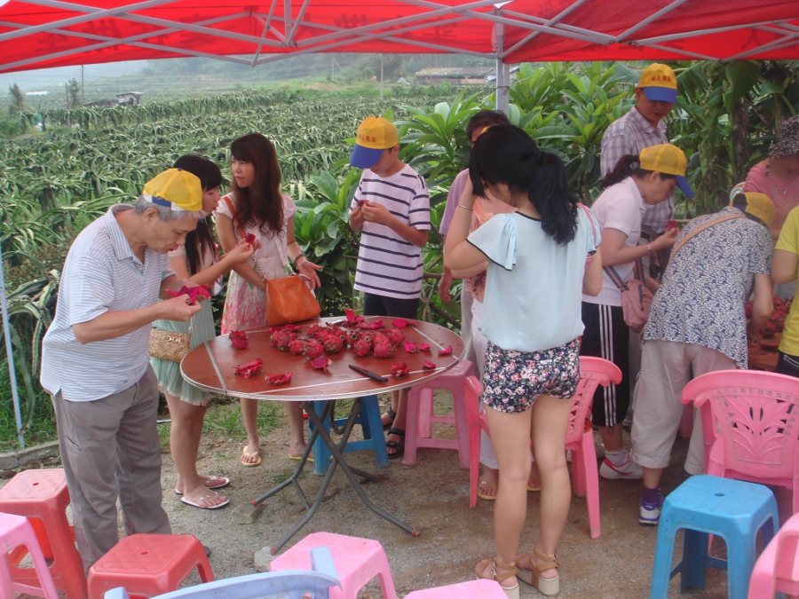 火龍果,能者橡膠,<a title='鼠標墊廠家' target='_blank' href='http://www.hfyhdy.com/' class='seolabel'>鼠標墊廠家</a>