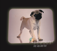 動物布面鼠標(biāo)墊